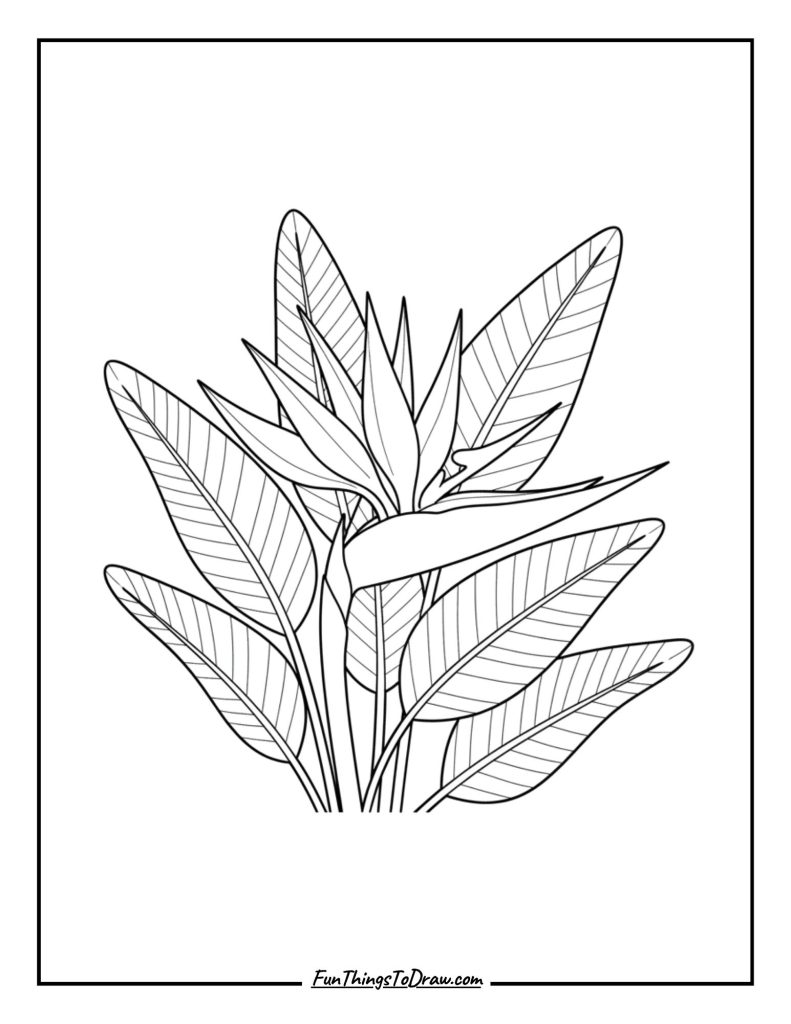 Bird of Paradise with Leaves