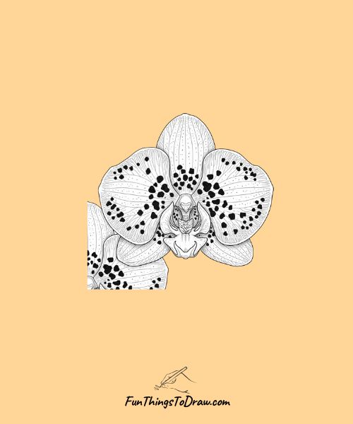 Spotted orchid petals