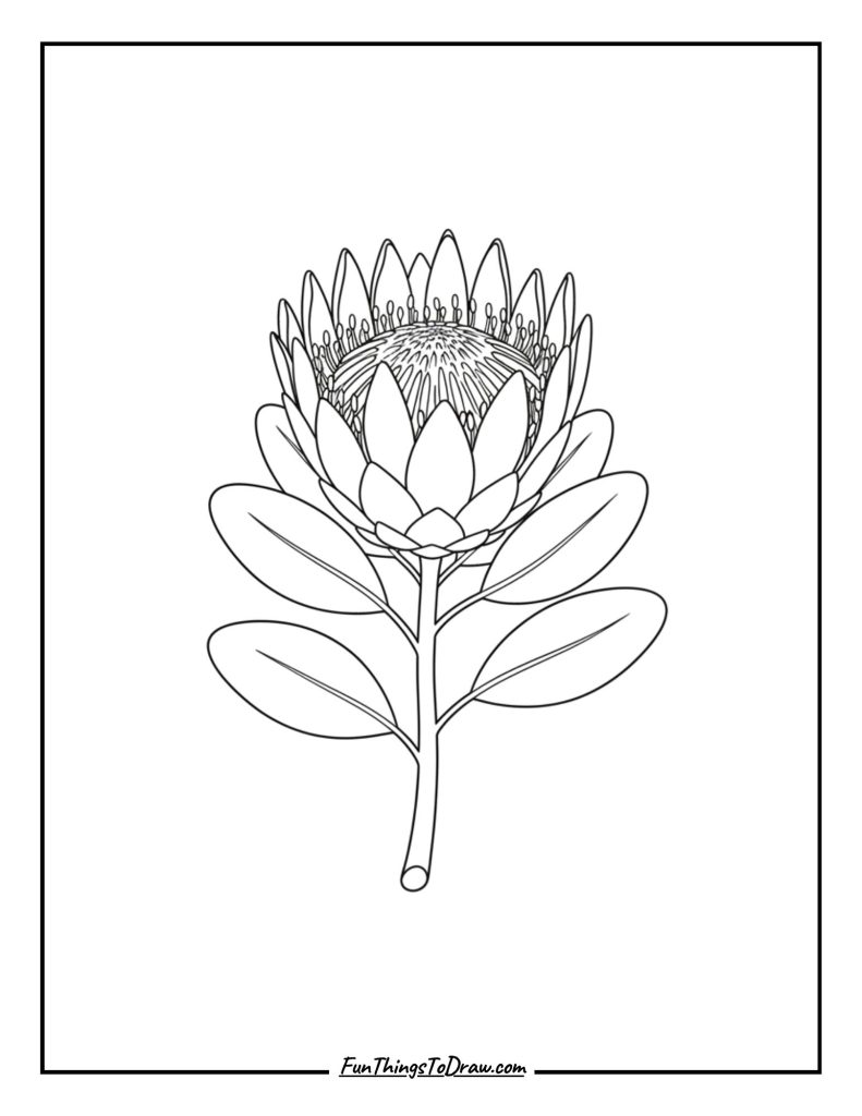 Protea with Unique Petals