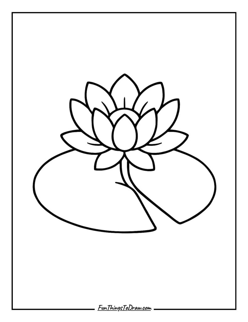 Water Lily on Lily Pad