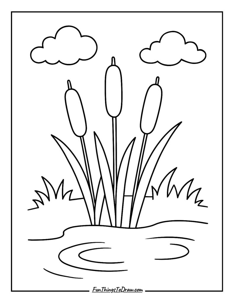 Cattails by Pond Edge