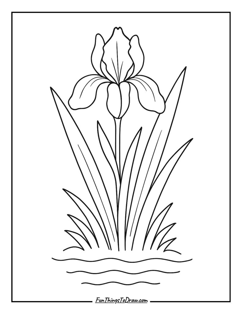 Iris Growing Near Water