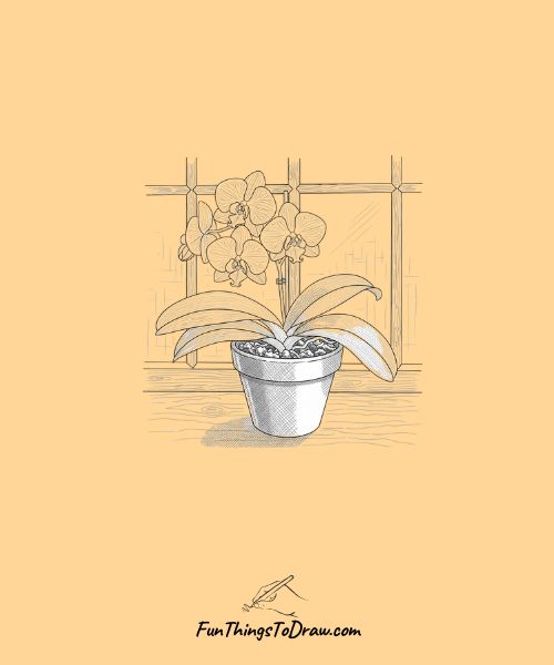 Potted orchid windowsill scene