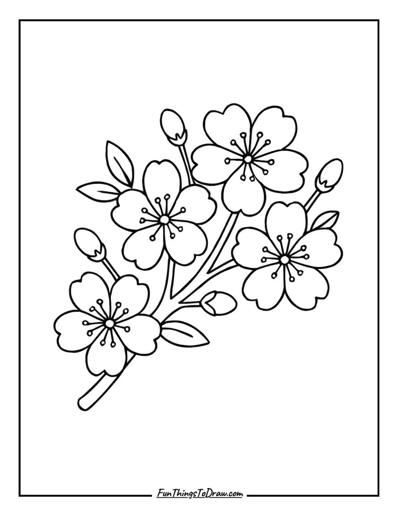 Cherry Blossom Branch