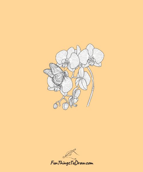 Orchid with butterfly