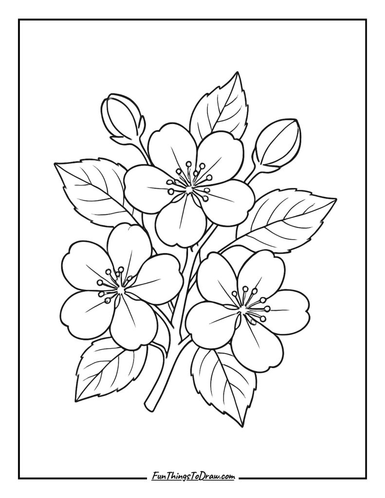 Apple Tree Blossoms