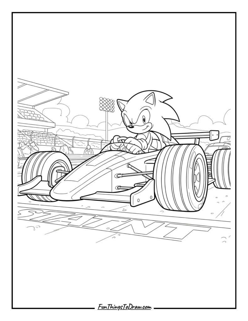 Sonic in a race car at the starting line
