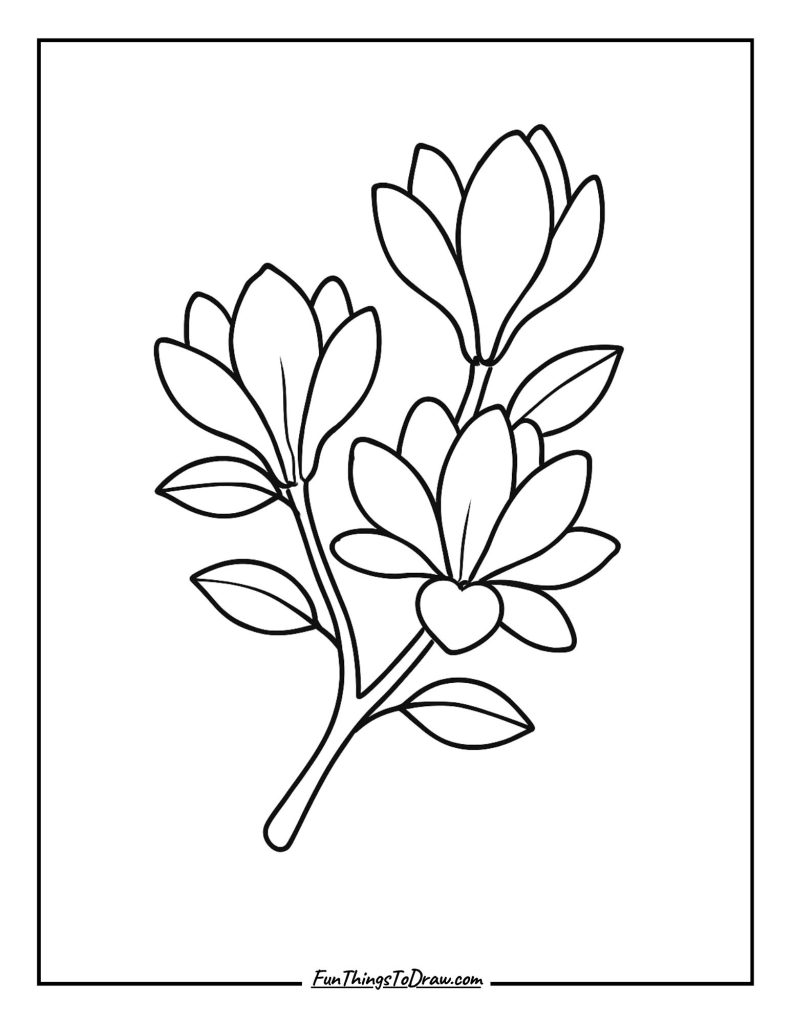 Magnolia Tree Flowers