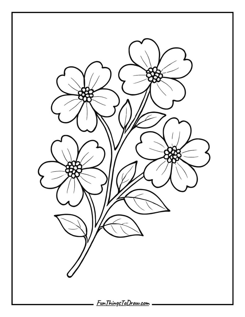 Dogwood Flowering Branch