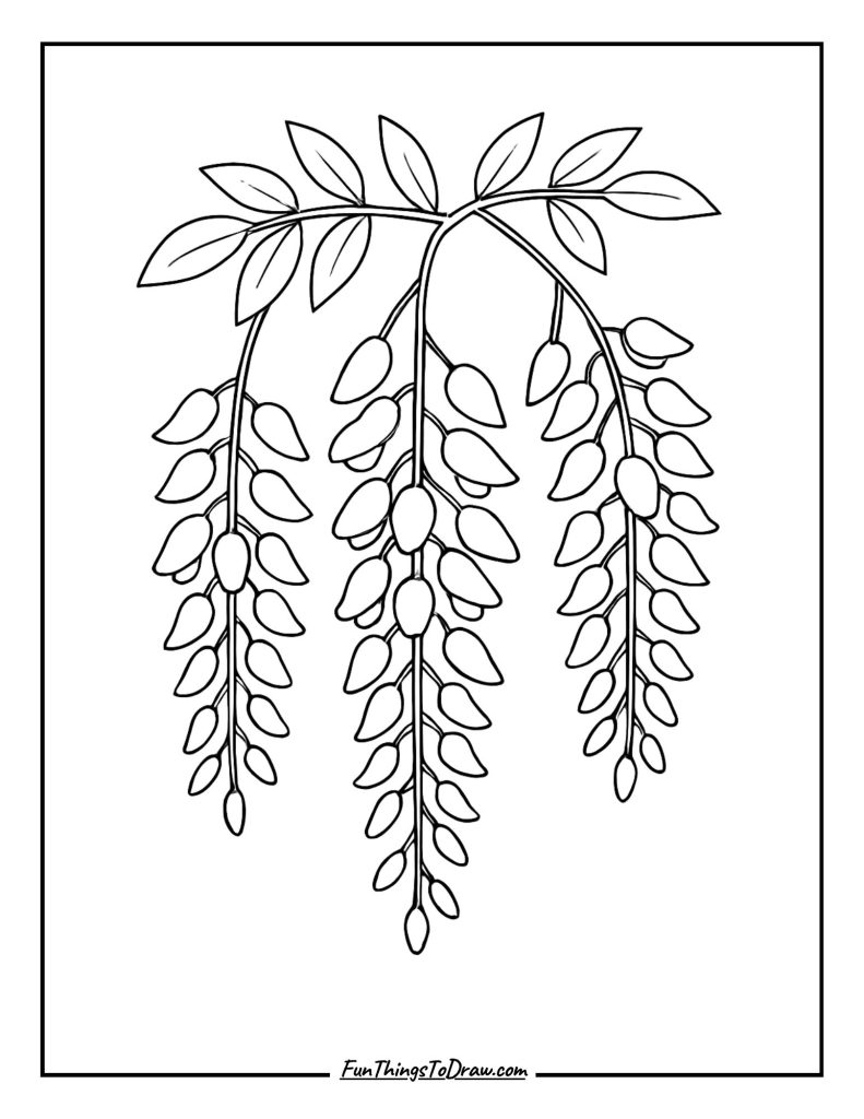 Wisteria Hanging Clusters