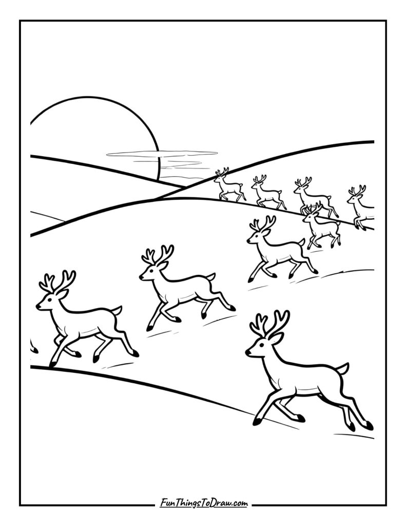 Herd migrates across rolling hills at sunset