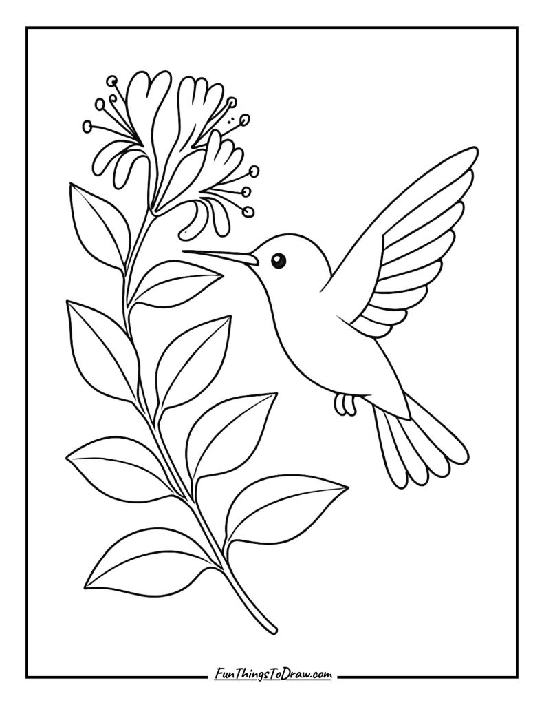 Honeysuckle with Hummingbird