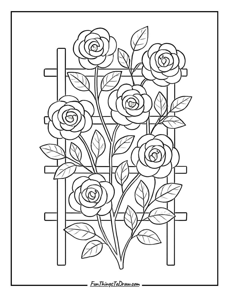 Climbing Roses on Trellis