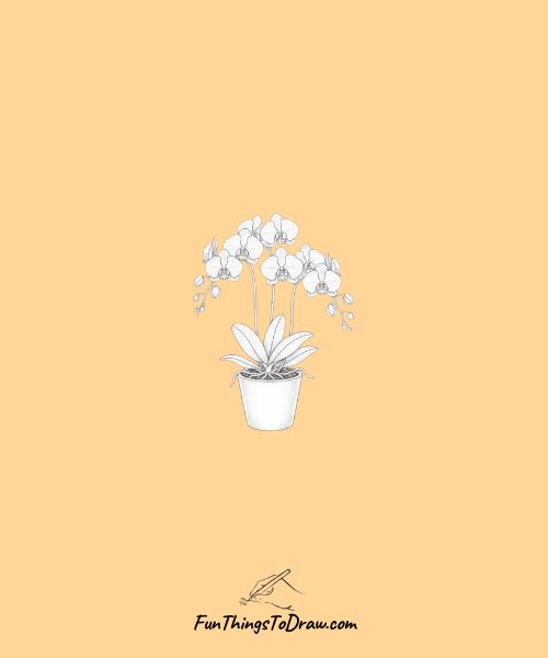 Orchid with bamboo arrangement