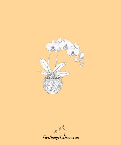 Orchid in a decorative pot