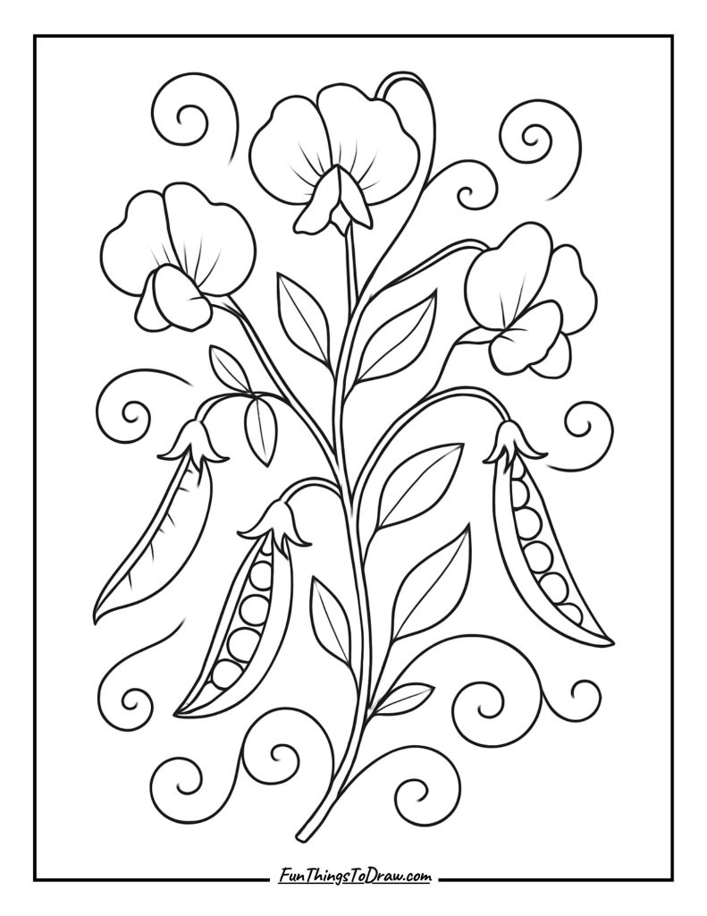 Sweet Pea Tendrils