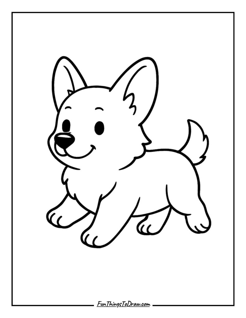 Corgi pup trotting along on little short legs