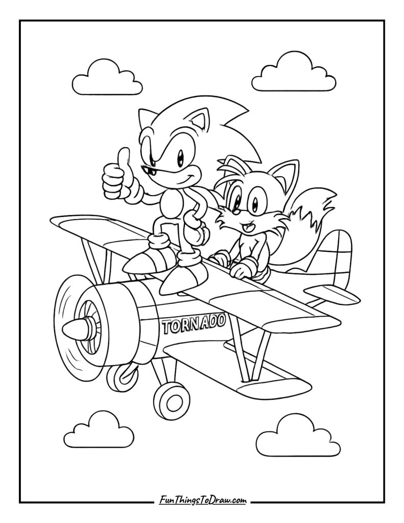 Sonic and Tails flying together in the Tornado plane