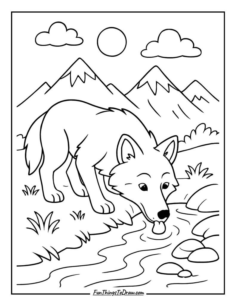 Wolf drinking from a mountain stream