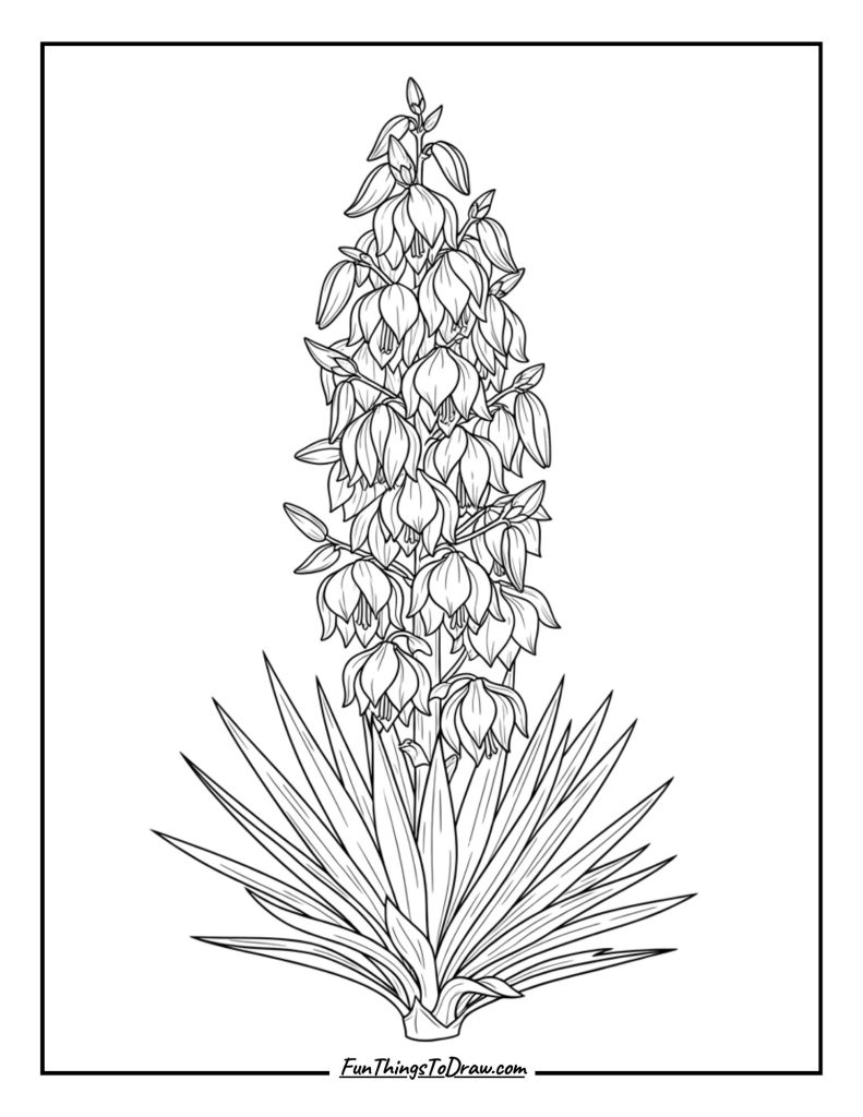 Yucca Flower Stalk