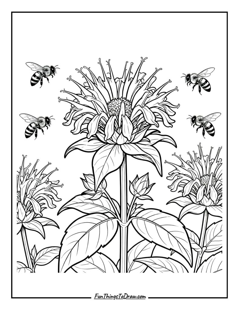 Bee Balm with Native Bees