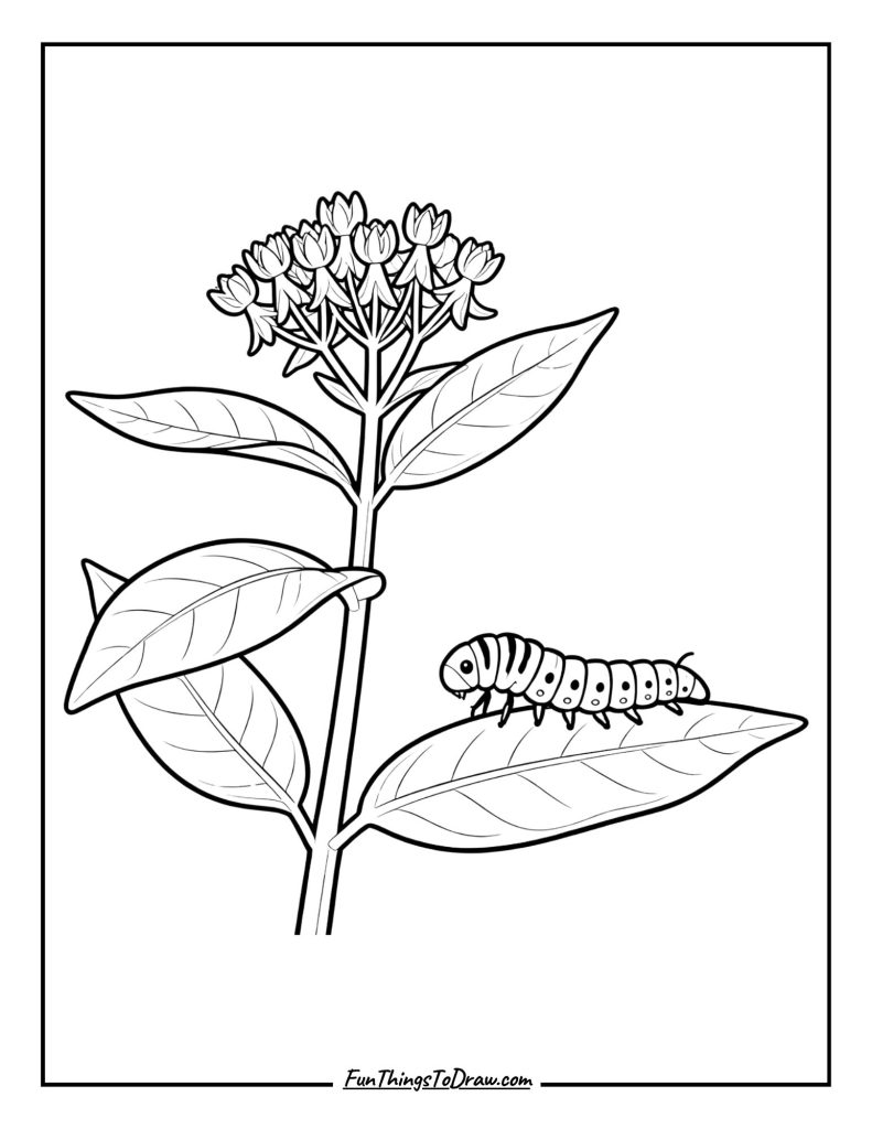 Milkweed with Caterpillar