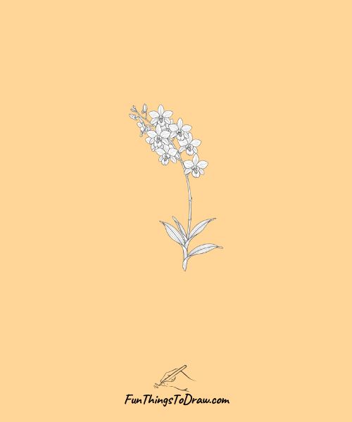 Dendrobium orchid stem