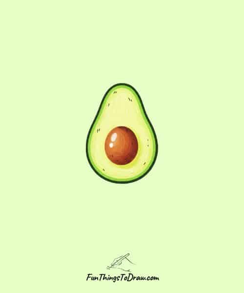 Drawing of Avocado Slice Cross-Section