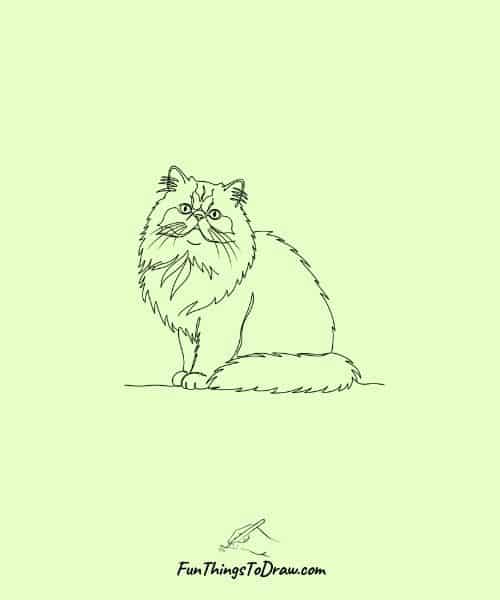 Drawing of Fluffy Persian Cat
