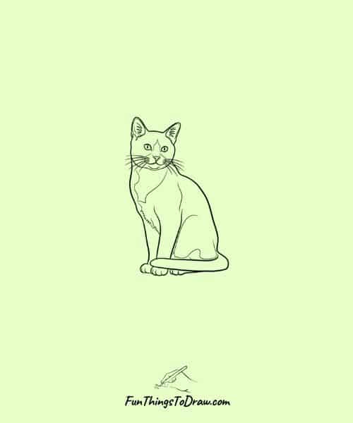 Drawing of Tuxedo Cat