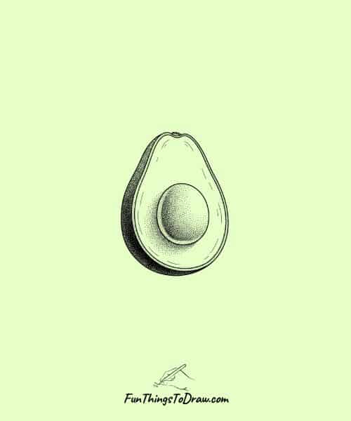 Stippled Shadow Avocado Drawing
