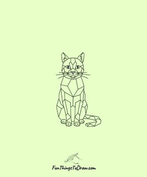 Geometric Cat