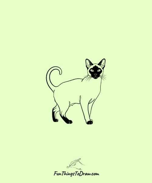 Drawing of Siamese Cat