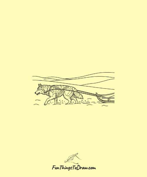Sledding Dog Drawing