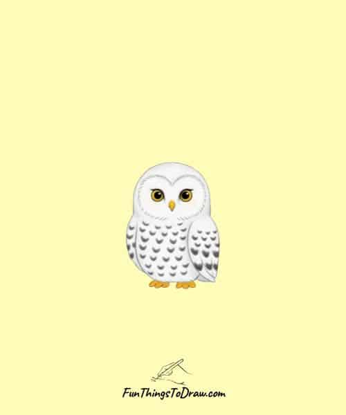 Drawing of Snowy Owl
