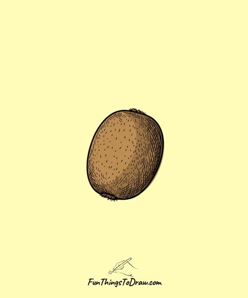 Whole Kiwi Fruit Drawing Easy