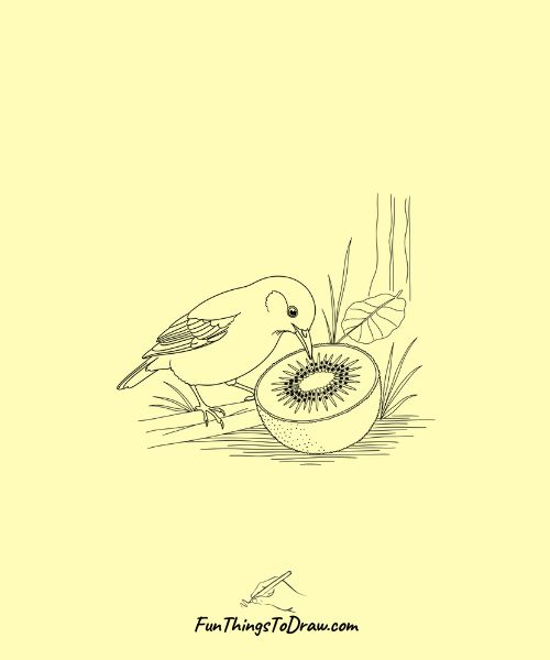 Bird Eating Kiwi Fruit Drawing