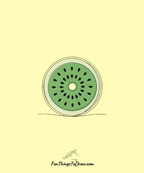 Drawing of Sliced Kiwi Cross-Section