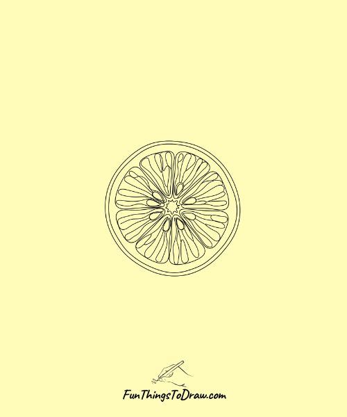 Simple Drawing of Sliced lemon