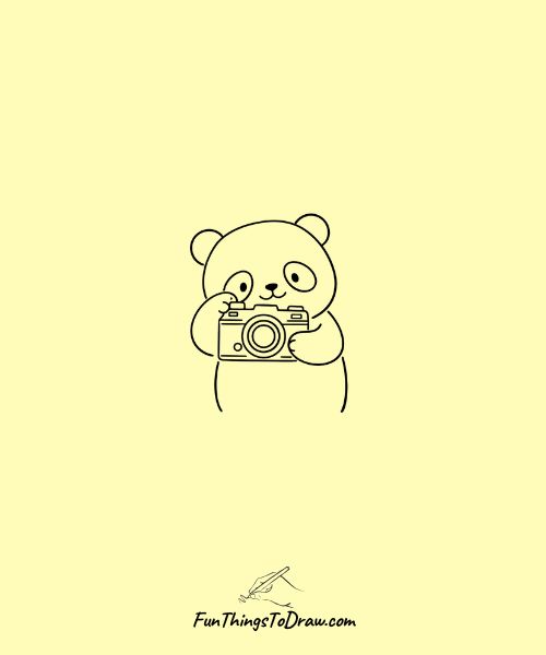 Panda Photographer