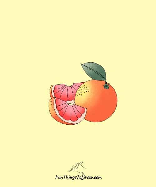 Grapefruit Slices Arrangement