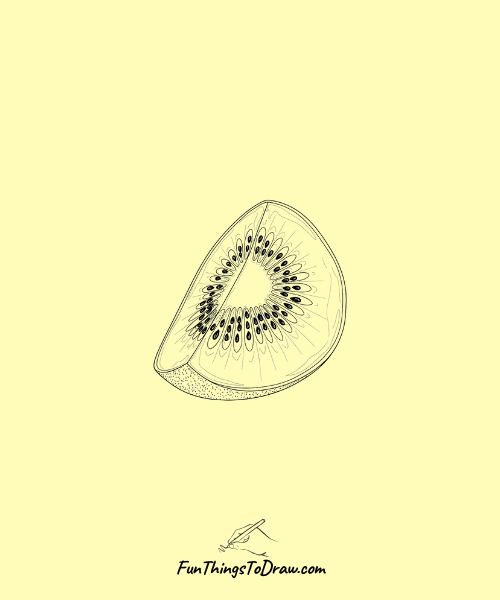Kiwi Wedge