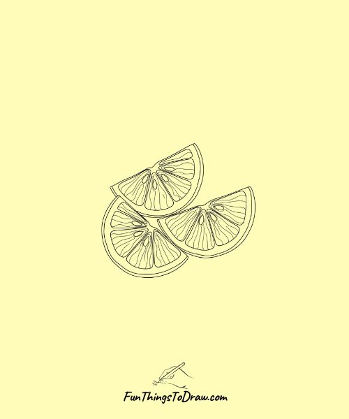 Lemon wedges drawing ideas