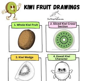 Kiwi Drawing Ideas Easy