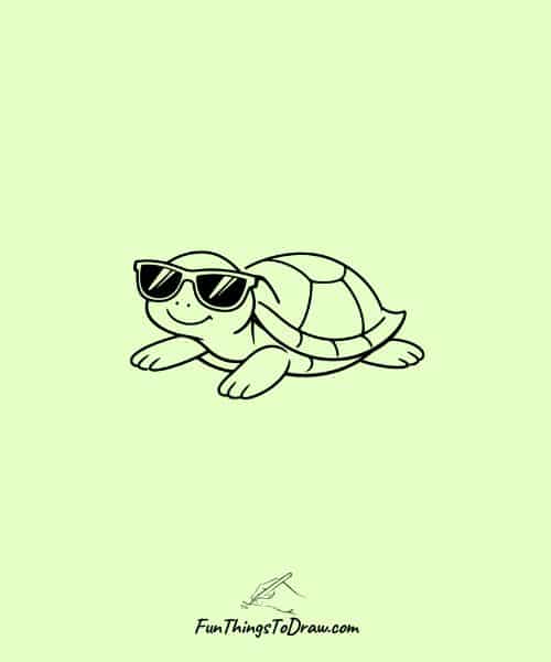 Turtle Wearing Sunglasses