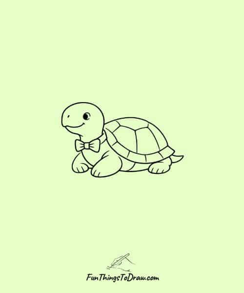 Turtle with a Bowtie