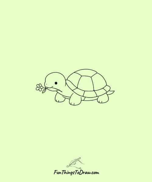 Turtle with a Flower in Mouth