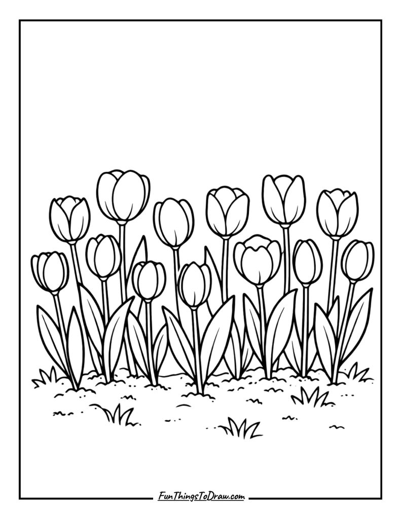 Tulip flowers coloring page