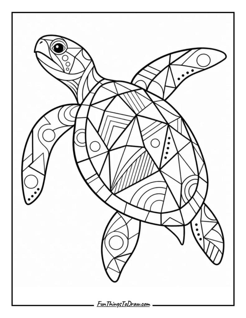 Abstract Turtle Art