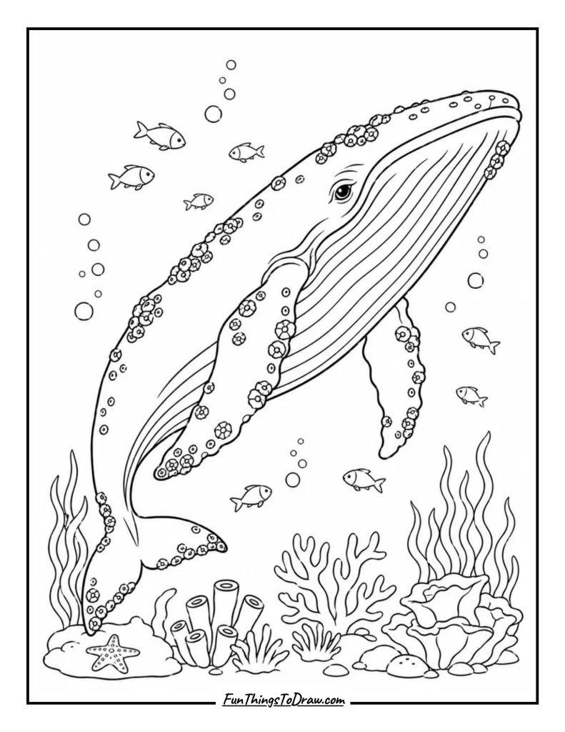 Barnacle-Covered Whale